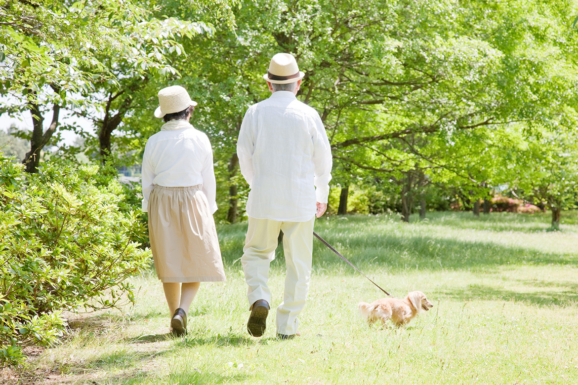 写真：老夫婦イメージ